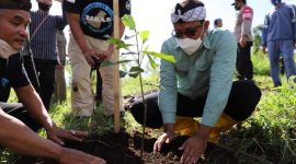 Wakil Bupati Garut, dr. Helmi Budiman menghadiri acara Penanaman Pohon di Hulu Daerah Aliran Sungai (DAS) Cimanuk Sungai Cikamiri Desa Barusari, Kecamatan Pasirwangi, Kabupaten Garut, Kamis (23/12/2021).
(Foto: Team Diskominfo Garut)