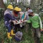 LMDH Sawargi  sedang menyadap getah pohon di Area Perhutani KPH Garut