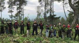 Perhutani  (KPH) Garut  bersama Himakom Uniga  melakukan penanaman pohon 