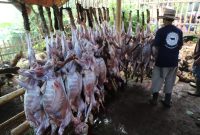 Wakil Bupati Garut, dr. Helmi Budiman, menyerahkan secara simbolis hewan kurban kepada panitia pemotongan hewan kurban di Kampung Babakan Falah, Desa Karyamekar, Kabupaten Garut, Minggu (10/7/2022)