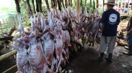 Wakil Bupati Garut, dr. Helmi Budiman, menyerahkan secara simbolis hewan kurban kepada panitia pemotongan hewan kurban di Kampung Babakan Falah, Desa Karyamekar, Kabupaten Garut, Minggu (10/7/2022)