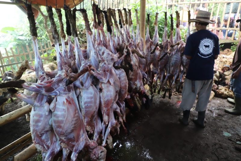 Wakil Bupati Garut, dr. Helmi Budiman, menyerahkan secara simbolis hewan kurban kepada panitia pemotongan hewan kurban di Kampung Babakan Falah, Desa Karyamekar, Kabupaten Garut, Minggu (10/7/2022)