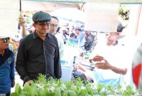 Wakil Bupati Garut, dr. Helmi Budiman, menghadiri acara Milangkala ke-45 Desa Dunguswiru yang dilaksanakan di Desa Dunguswiru, Kecamatan Limbangan, Kabupaten Garut, Kamis (7/7/2022).