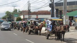 Pimpinan Daerah Muhammadiyah Garut menyelenggarakan berbagai kegiatan untuk menyemarakkan Muktamar Muhammadiyah-‘Aisyiyah 48 yang diselenggarakan di Solo pada 18-20 November 2022. 