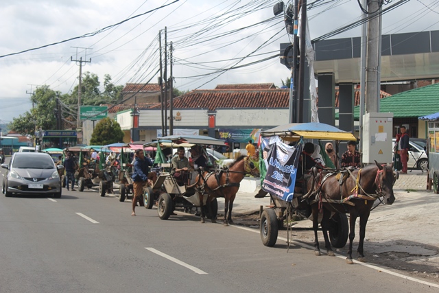 Pimpinan Daerah Muhammadiyah Garut menyelenggarakan berbagai kegiatan untuk menyemarakkan Muktamar Muhammadiyah-‘Aisyiyah 48 yang diselenggarakan di Solo pada 18-20 November 2022. 