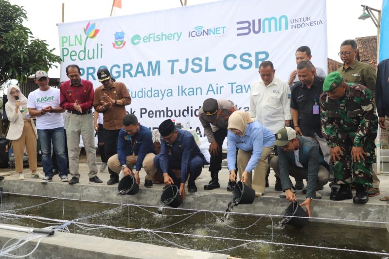 Manager PLN UP3 Garut Nurhidayanto Nugroho bersama Wakil Bupati Garut dr H Helmi Budiman simbolis melakukan penanaman ikan dalam Peresmian Kampung Super Ecosystem eFishery (KASEF) bersama PLN Jabar Smile (Smart Electric Green Lifestyle) di Desa Jati Kelurahan Tarogong Kaler, Selasa (13/12/2022).