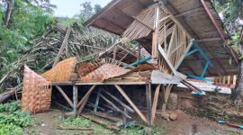 Kondisi bangunan yang tertimpa pohon tumbang di Dusun Cinyawar, Desa Selaawi, Kecamatan Talegong, Kabupaten Garut, Sabtu (4/2/2023). (Foto : Dok. Kecamatan Talegong)