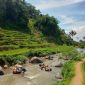 Suasana asri dan wisatawan di Desa Wisata Sindangkasih, Desa Sukamaju, Jalan Raya Garut-Tasikmalaya, Kecamatan Cilawu, Kabupaten Garut, Rabu (22/2/2023). (Foto : Yan AS & Dok. Desa Wisata Sindangasih)