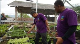 Bupati Garut, Rudy Gunawan me-_launching_ secara resmi Program Halaman Bermanfaat Terpadu (Harum Madu) yang dilaksanakan di Desa Girimukti, Kecamatan Singajaya, Kabupaten Garut, Rabu (22/2/2023). (Foto: Deni Seftiana/ Diskominfo Garut)