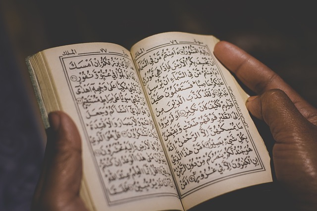 Membaca Al Quran
Gambar oleh Fauzan My dari Pixabay 