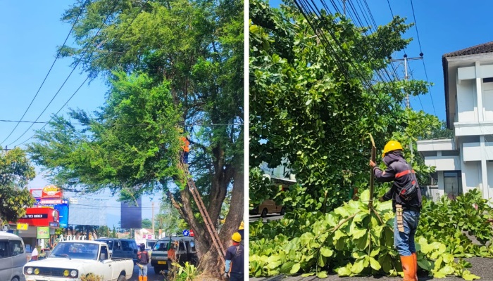 PLN UP3 Garut Lakukan ROW Serentak, Upaya Pemeliharaan ROW untuk Keandalan Jaringan Listrik dan Pencegahan Potensi Bahaya Listrik