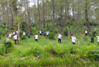 Perhutani KPH Garut dan LMDH Sawargi Rayakan Hari Menanam Pohon Indonesia dengan Penghijauan Lahan