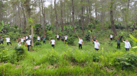 Perhutani KPH Garut dan LMDH Sawargi Rayakan Hari Menanam Pohon Indonesia dengan Penghijauan Lahan