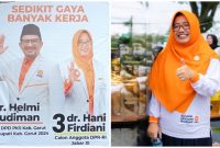 dr. Hani Firdiani, Calon Anggota DPR RI Dapil Jabar XI, Usung Prinsip 'Sedikit Gaya Banyak Bekerja