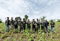 Perhutani Garut dan Muspika Limbangan Tanam 1000 Pohon untuk Kelestarian Hutan