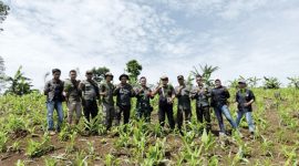 Perhutani Garut dan Muspika Limbangan Tanam 1000 Pohon untuk Kelestarian Hutan