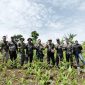 Perhutani Garut dan Muspika Limbangan Tanam 1000 Pohon untuk Kelestarian Hutan