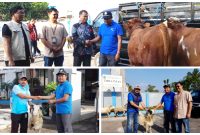 PDAM Tirta Intan Garut Perkuat Komunikasi dengan Wilayah Sumber Air melalui Penyaluran Hewan Kurban Idul Adha