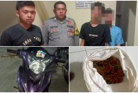 Polsek Cibiuk Tangkap Dua Pelaku Pencurian Cabai di Kampung Koang 