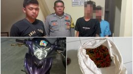 Polsek Cibiuk Tangkap Dua Pelaku Pencurian Cabai di Kampung Koang 