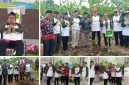 Program Green Wakaf Muhammadiyah Jawa Barat: Solusi Optimalisasi Tanah Wakaf dan Kelestarian Lingkungan