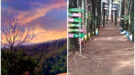 Destinasi Hits Garut! Nikmati Keindahan Alam dan Spot Instagramable di Leuweung Oko D Great