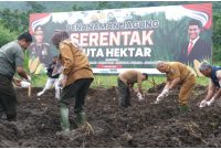 Hebat! Garut Jadi Penghasil Jagung Nomor 1 di Jabar, Produksi Capai 600 Ribu Ton