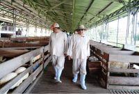 Bupati Garut Tinjau Langsung Kesehatan Hewan Kurban Jelang Iduladha 1446 H