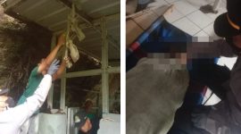 Polisi Cek TKP Temuan Pria Meninggal di Leuweung Sancang