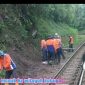 Longsor Batu di KM 189 Stasiun Lebak Jero Sempat Ganggu Perjalanan Kereta Api di Garut
