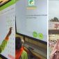 Al Mashduqi Islamic Primary School Garut Gelar Qur’anic Fun Camp, Integrasikan Karakter dan Nilai Al-Qur’an
