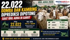 22.022 Domba dan Kambing Diprediksi Dipotong Saat Idul Adha di Garut
