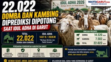 22.022 Domba dan Kambing Diprediksi Dipotong Saat Idul Adha di Garut