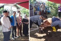 Bupati Garut Abdusy Syakur Amin menyerahkan dan menyaksikan pemotongan sapi kurban bantuan Presiden RI seberat 1,07 ton di Ponpes Al Hikmah, Desa Sindangsari, Kecamatan Cigedug, Kamis (28/5/2026). Daging kurban didistribusikan kepada sekitar 400 kepala keluarga di wilayah setempat.