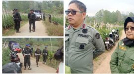 Operasi gabungan penertiban perambahan di kawasan konservasi Gunung Papandayan seluas 117 hektare di Kabupaten Garut