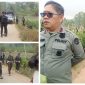 Operasi gabungan penertiban perambahan di kawasan konservasi Gunung Papandayan seluas 117 hektare di Kabupaten Garut