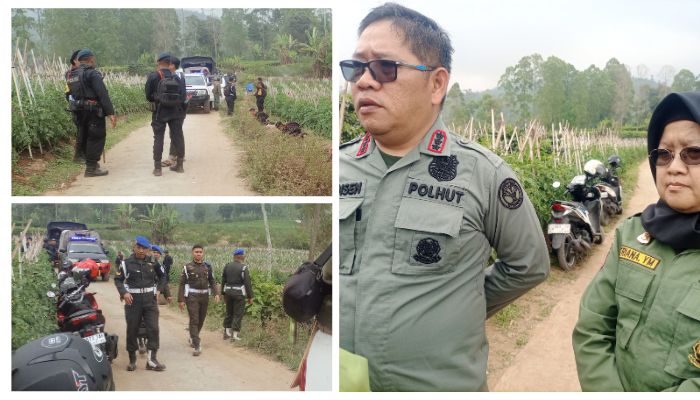 Operasi gabungan penertiban perambahan di kawasan konservasi Gunung Papandayan seluas 117 hektare di Kabupaten Garut