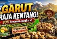 Garut Sumbang Hampir 80 Persen Kentang Jabar, Jadi Percontohan UPLAND