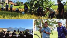 Rektor Universitas Garut (UNIGA), Dr. Irfan Nabhani, S.E., M.T., bersama peserta Kemah Bela Negara mengikuti aksi penanaman pohon yang diselenggarakan Badan Nasional Penanggulangan Terorisme (BNPT) bekerja sama dengan Jaga Tunas Indonesia di lingkungan Universitas Garut, Kamis (9/7/2026).