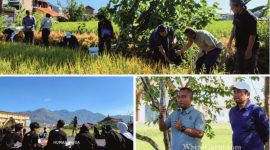 Rektor Universitas Garut (UNIGA), Dr. Irfan Nabhani, S.E., M.T., bersama peserta Kemah Bela Negara mengikuti aksi penanaman pohon yang diselenggarakan Badan Nasional Penanggulangan Terorisme (BNPT) bekerja sama dengan Jaga Tunas Indonesia di lingkungan Universitas Garut, Kamis (9/7/2026).