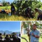 Rektor Universitas Garut (UNIGA), Dr. Irfan Nabhani, S.E., M.T., bersama peserta Kemah Bela Negara mengikuti aksi penanaman pohon yang diselenggarakan Badan Nasional Penanggulangan Terorisme (BNPT) bekerja sama dengan Jaga Tunas Indonesia di lingkungan Universitas Garut, Kamis (9/7/2026).