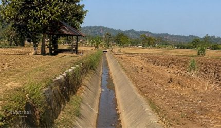 Ilustrasi saluran irigasi pertanian Garut saat musim kemarau