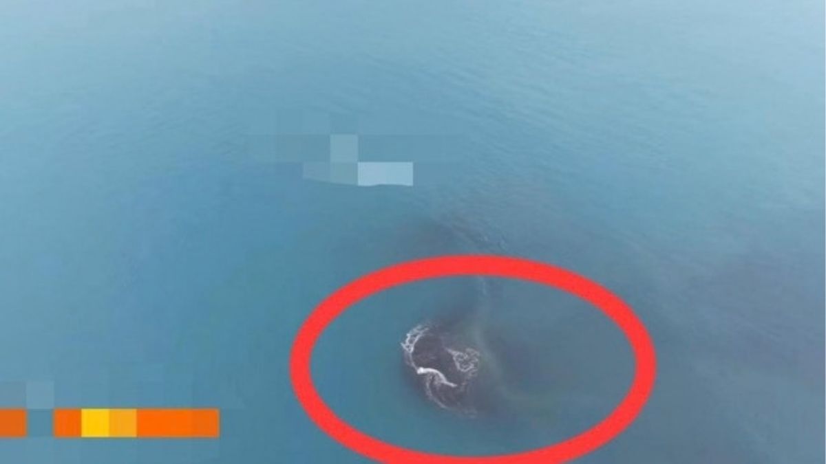 Daratan baru sekitar 30,3 hektare muncul di antara Pulau Anak Krakatau dan Pulau Sertung.(Istimewa)