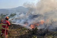 Kebakaran lahan di Kabupaten Garut mencapai 325 kejadian hingga 29 September 2026.