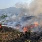 Kebakaran lahan di Kabupaten Garut mencapai 325 kejadian hingga 29 September 2026.