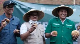 Panen kentang dalam kegiatan program ketahanan pangan GP Ansor Jawa Barat di Kertasari, Selasa, 8 September 2026 ( foto: gugah.co)